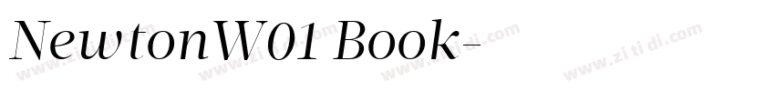NewtonW01 Book字体转换